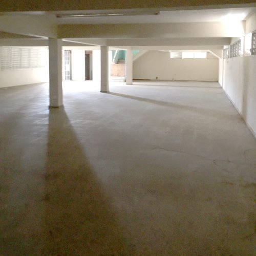 commercial space Manatí